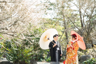 昼から撮影プラン