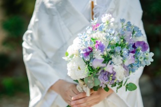 1月末頃の撮影「梅咲いてました」