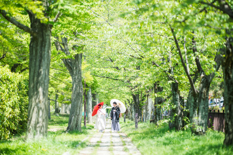 一日ゆったりプレミアムプランのご紹介