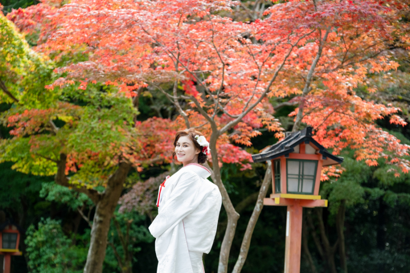 真っ赤な木々と真っ白な白無垢