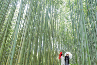 青い青い竹林で