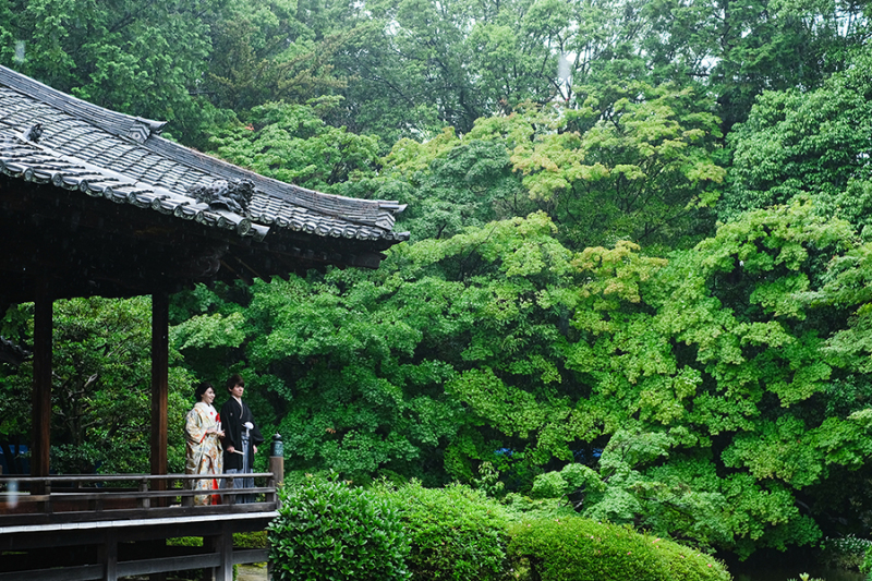 梅雨に人気のロケーション