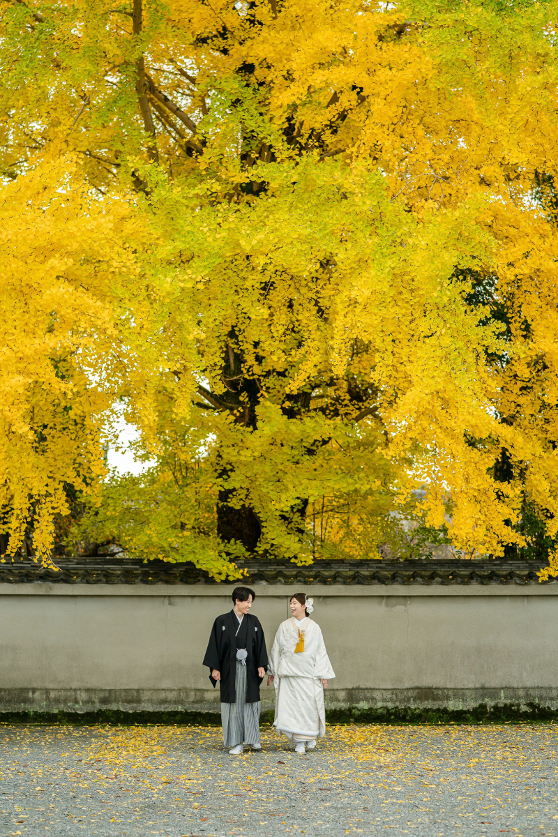 イチョウの下で