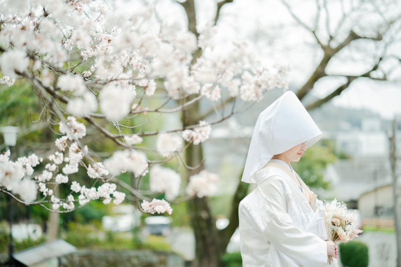 綿帽子でソロショット