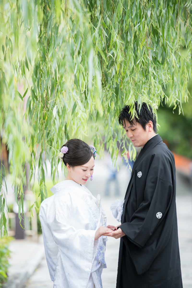 柳にかこまれて