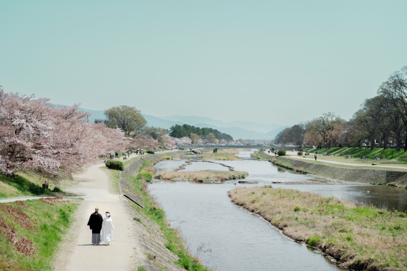 春の晴れた日に