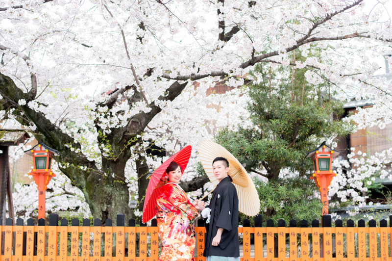 ロケーション2着プラン