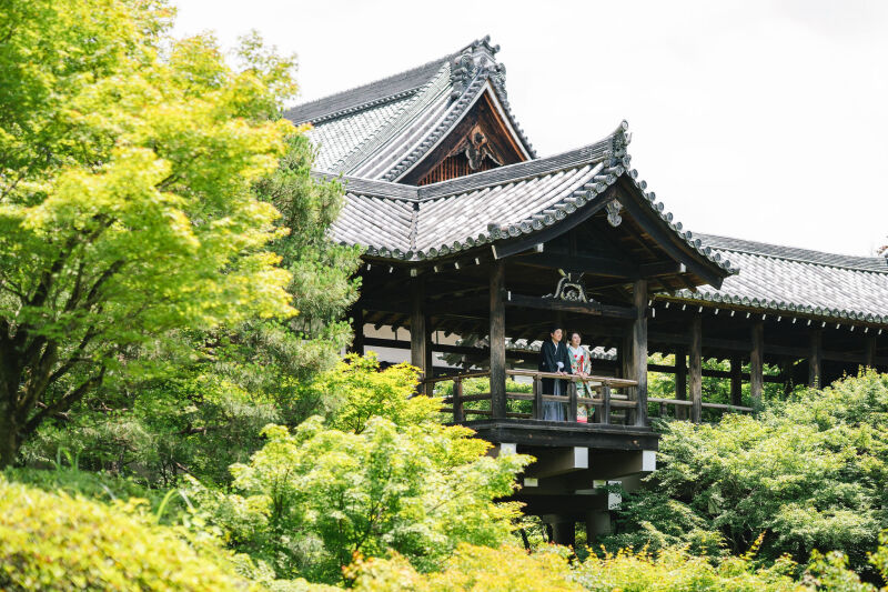 緑も