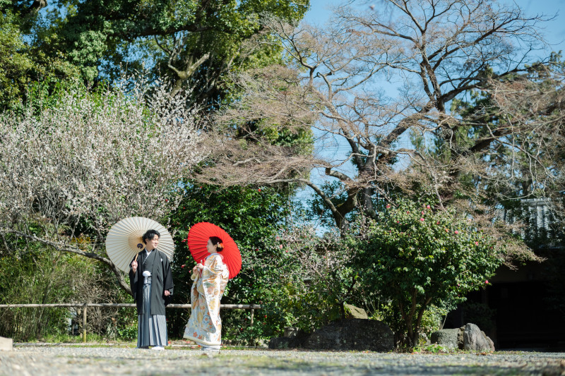 緑と青と和傘と