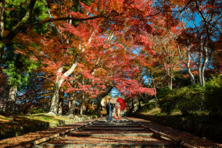 紅葉の毘沙門堂前撮りと洋装撮影