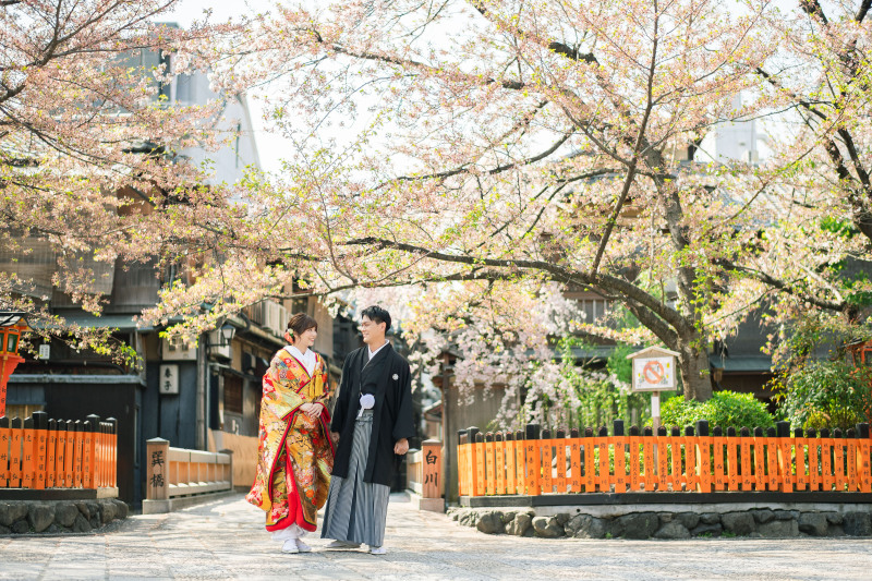 春のロケーション2着プラン