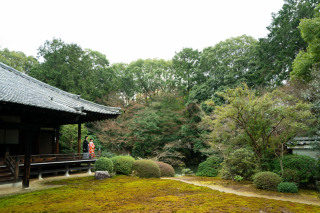 お寺での撮影