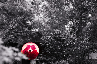 その人たちの色を残そう