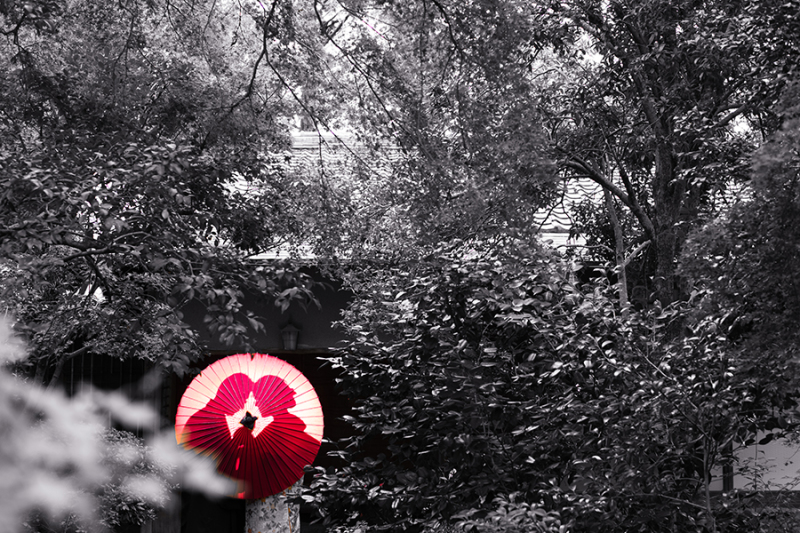 その人たちの色を残そう