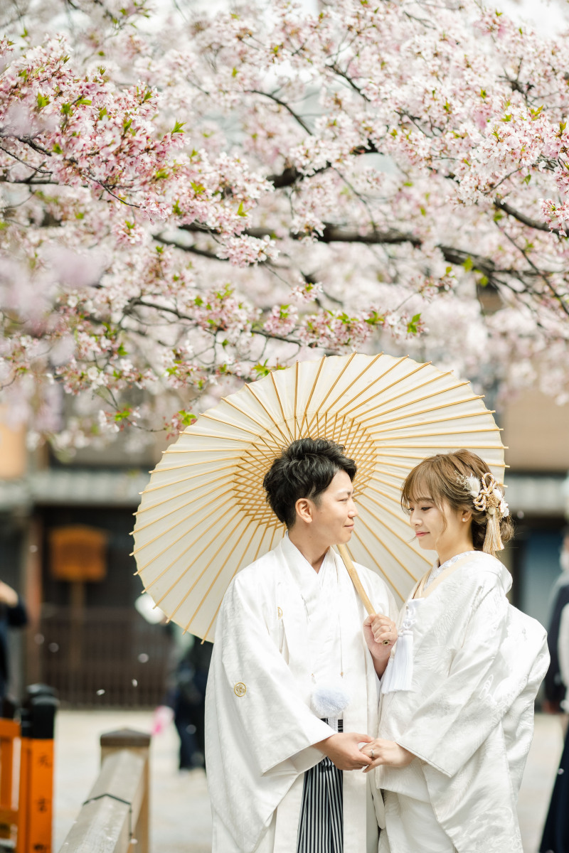 まだまだ桜満開です！