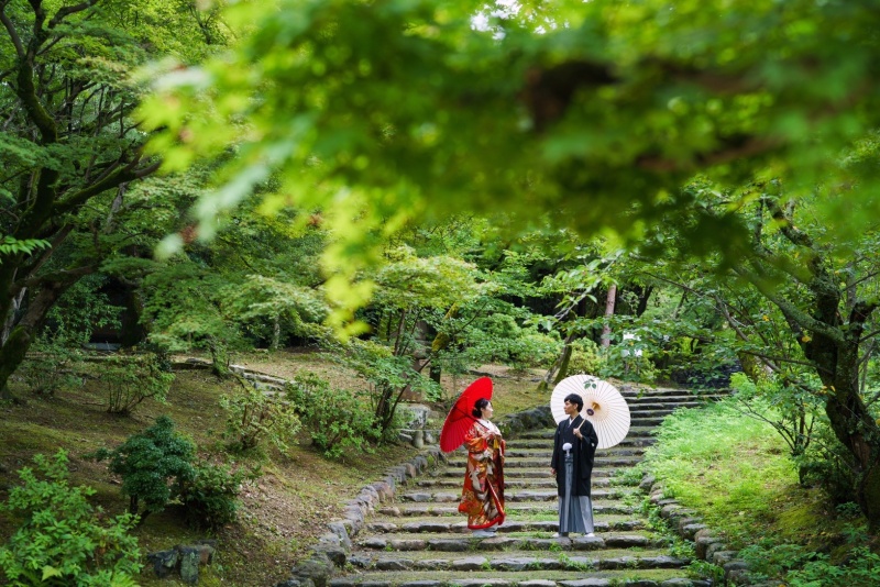 梅雨のひととき