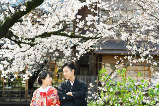 祇園の桜で、やさしい気持ちに