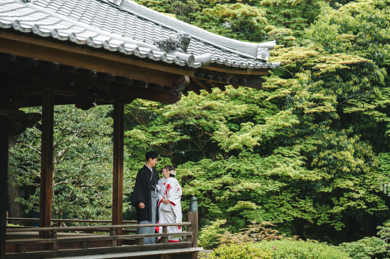 緑が綺麗
