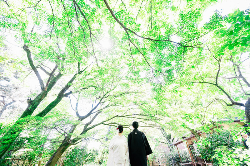 人気のロケーション場所