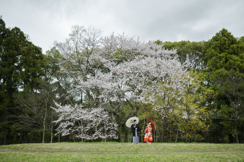黄色とピンク色