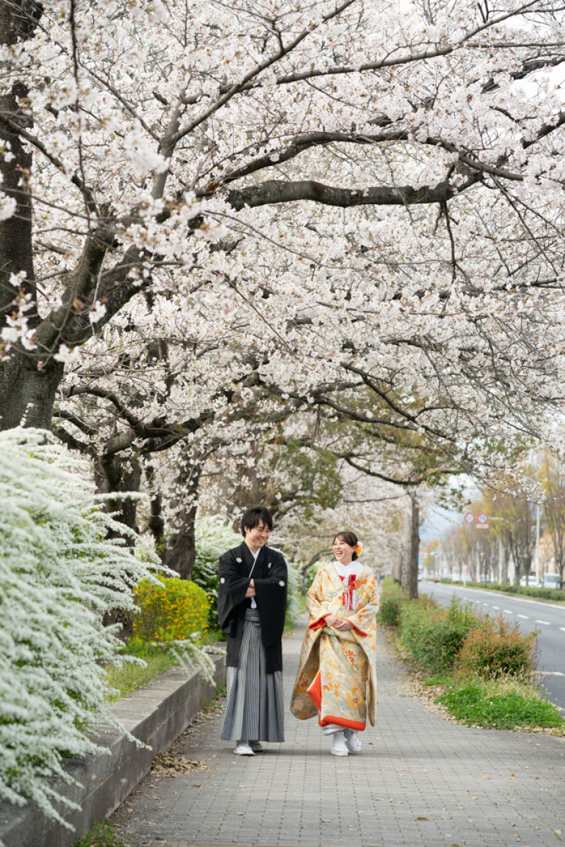桜道