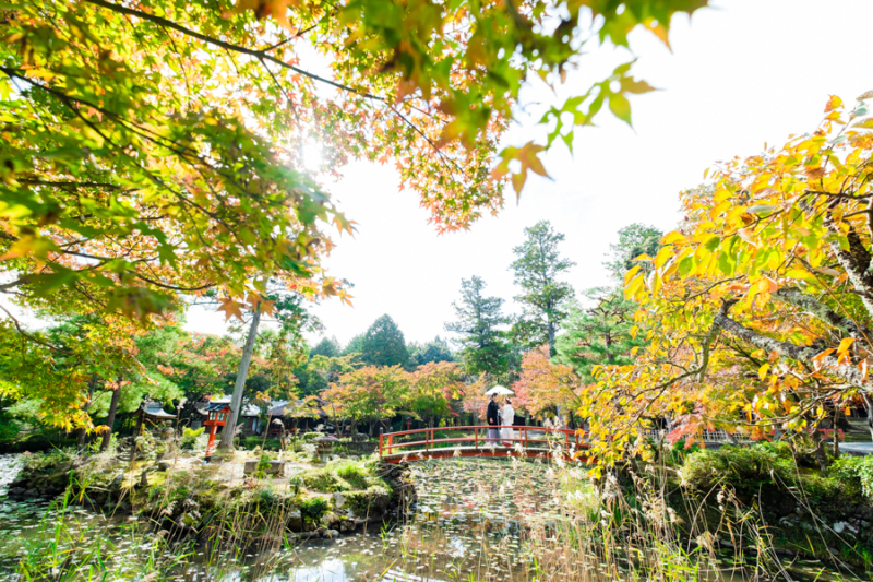 なかなか無い橋の上ショット