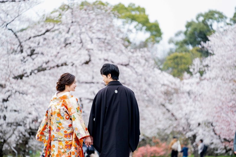 人気シーズン桜前撮り