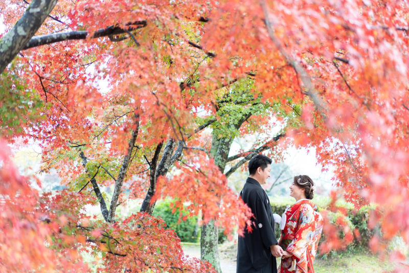 紅葉もしっかり