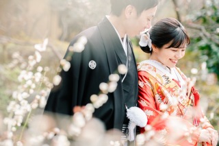 梅の神社で、白無垢と色打掛