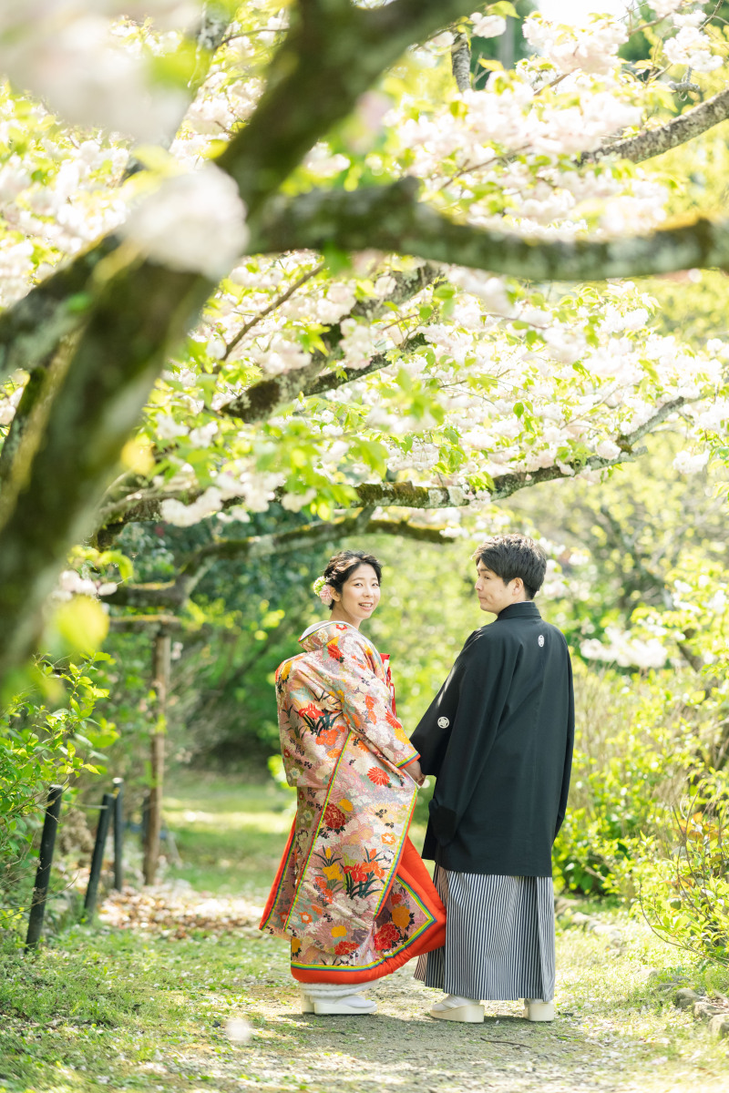 どこまでも桜で