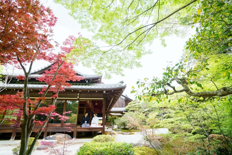 緑と赤色の紅葉