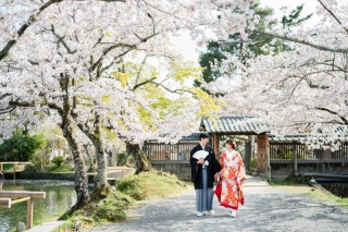 うららかな春の撮影