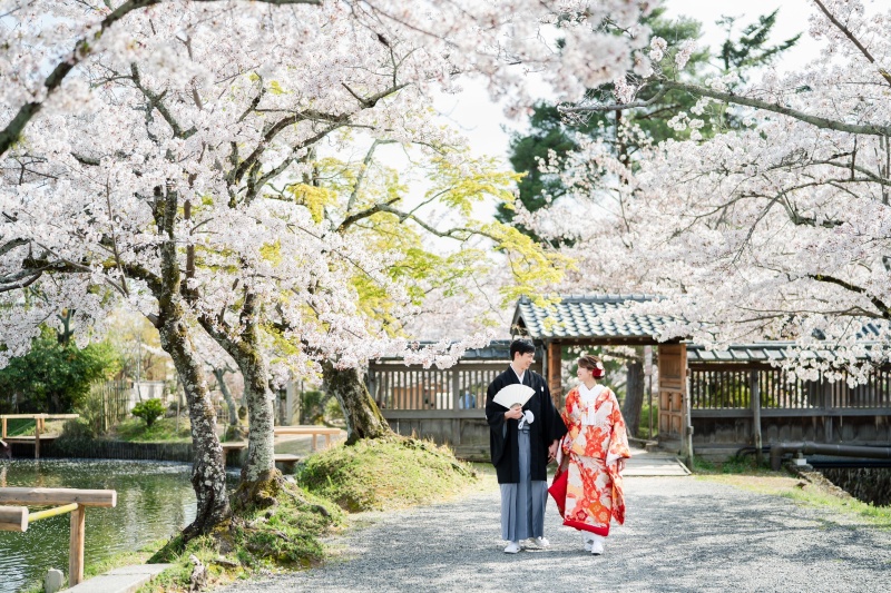 うららかな春の撮影