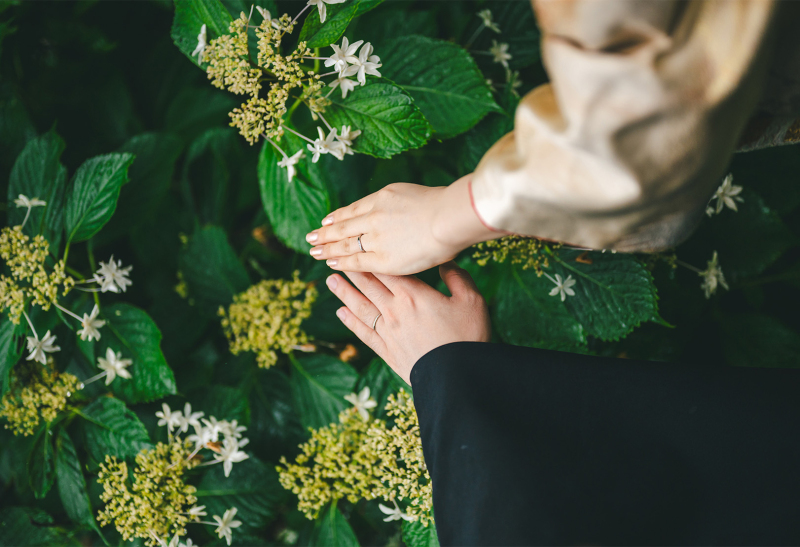 紫陽花