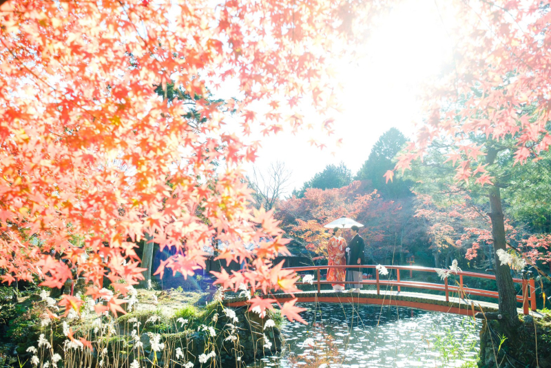 １２月の紅葉イメージ