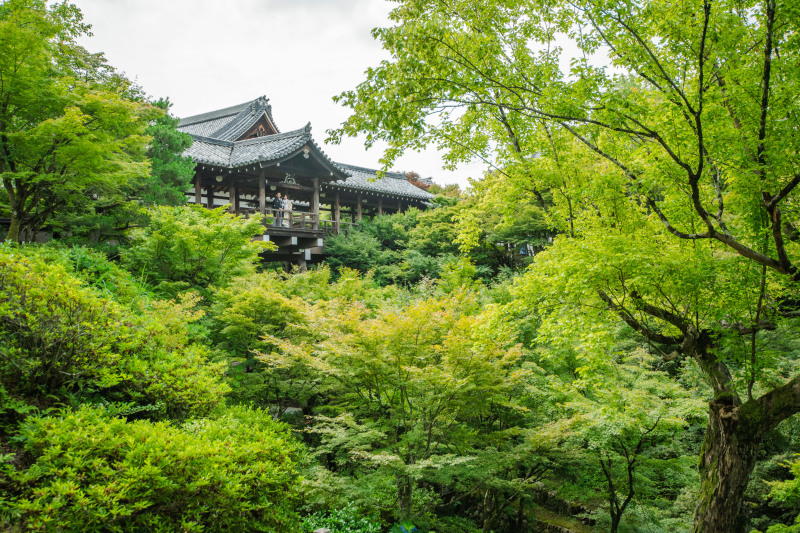 東福寺で前撮り