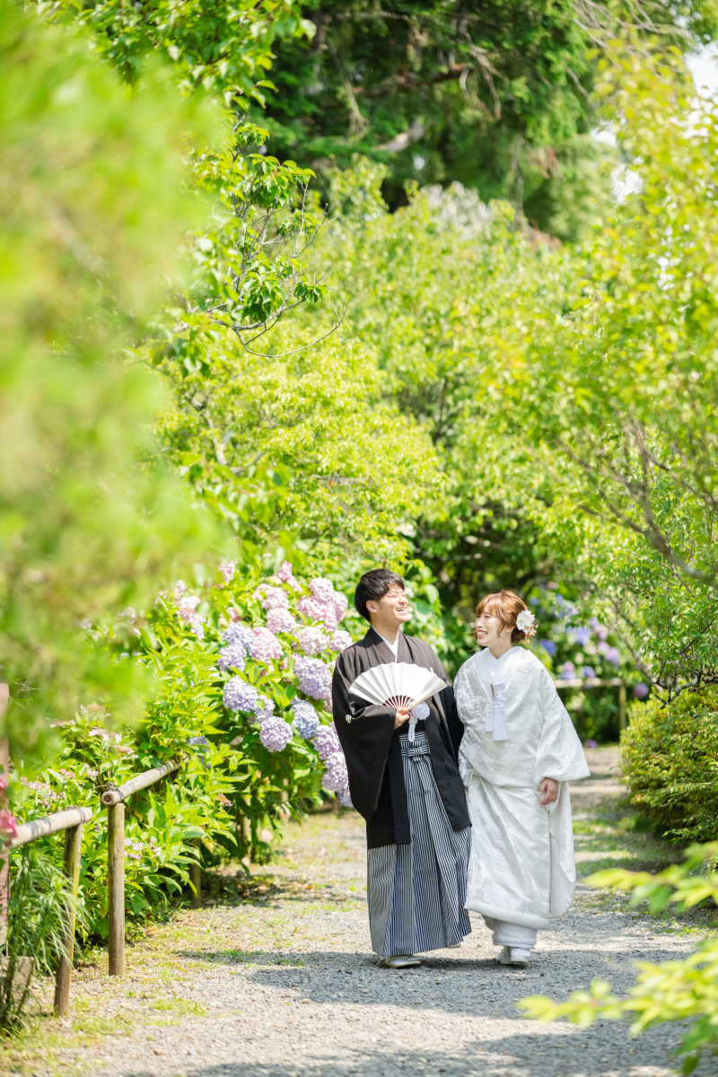 楽しそうな一枚