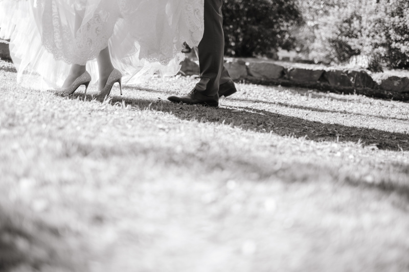 イメージカット