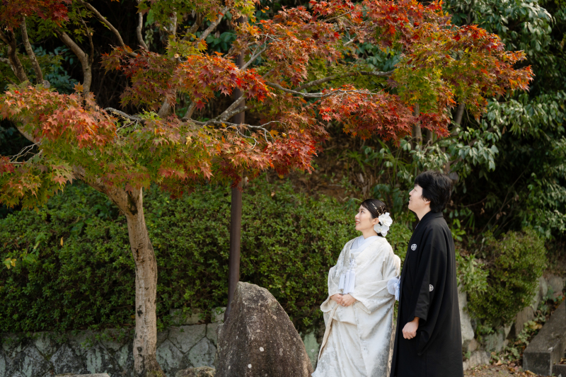 紅葉を見つけて