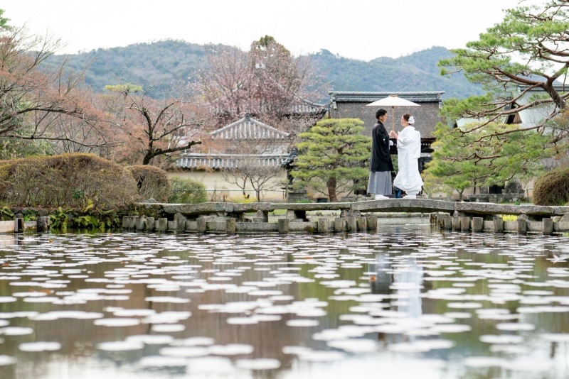 梅宮神社 咲耶池