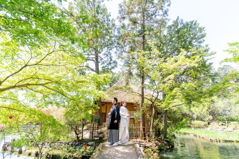 壮大なお写真も