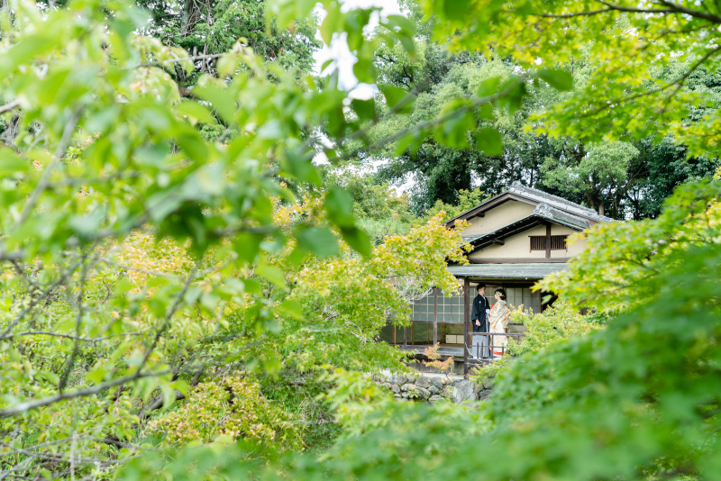 緑のすき間から