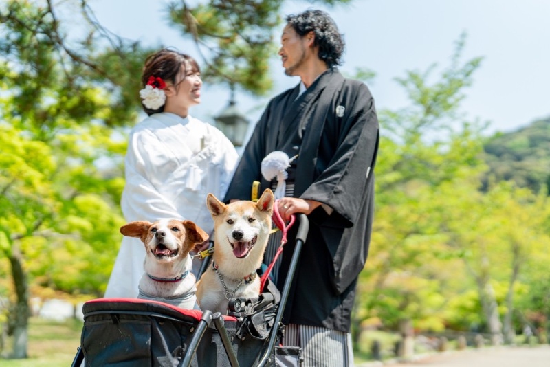 ワンちゃんと一緒に