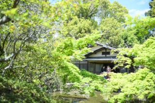 4月後半～5月の和装撮影イメージ