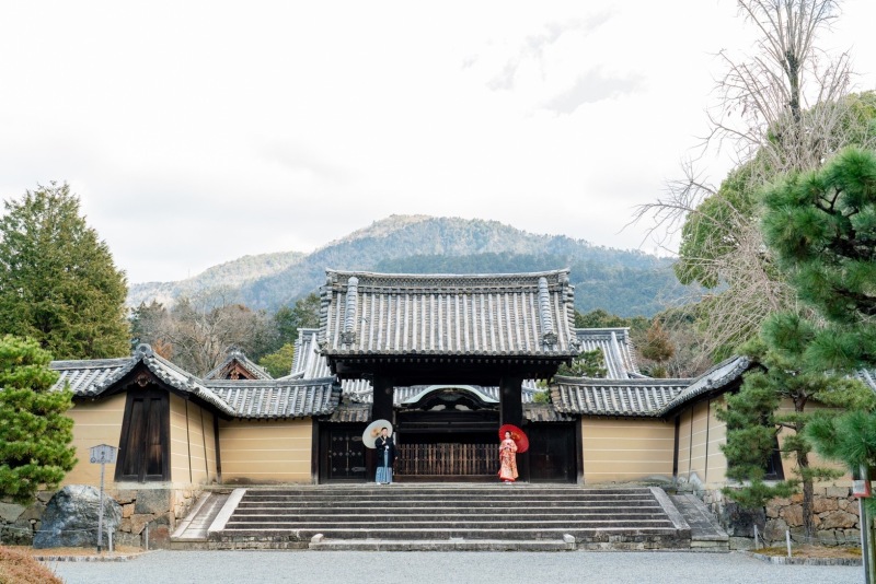 絵のような一枚