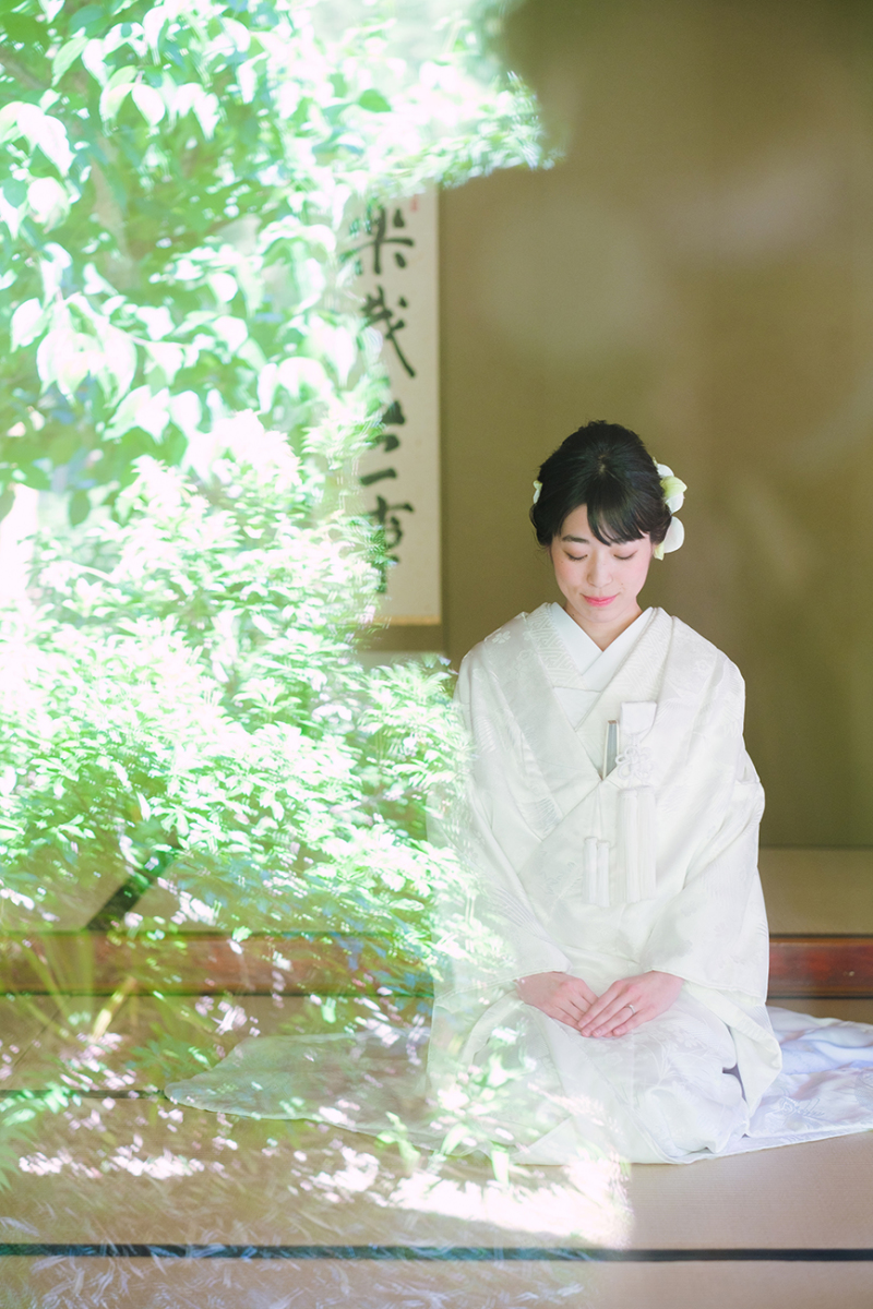 正座シーンにも夏の日差しを