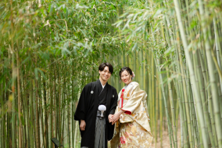 風が通り抜ける竹林