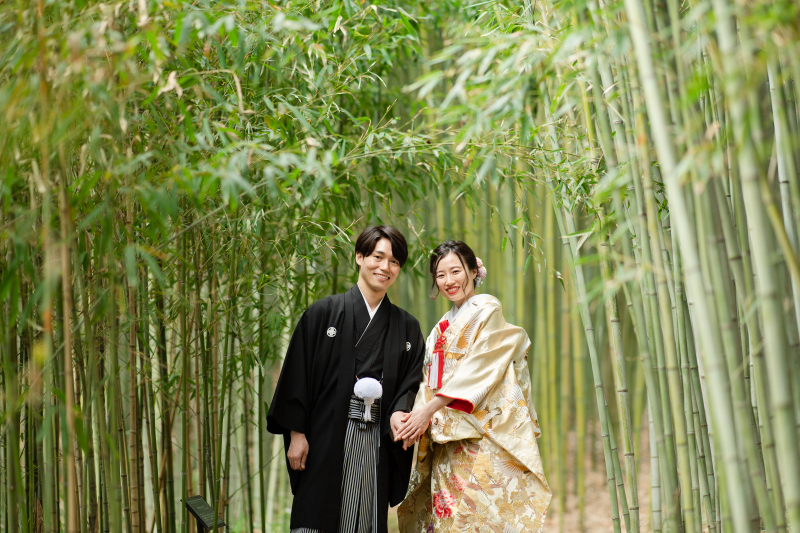 風が通り抜ける竹林