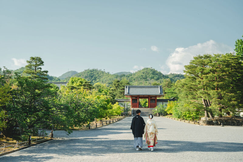 緑の季節の仁和寺