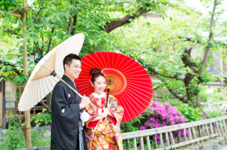 新緑の季節の撮影